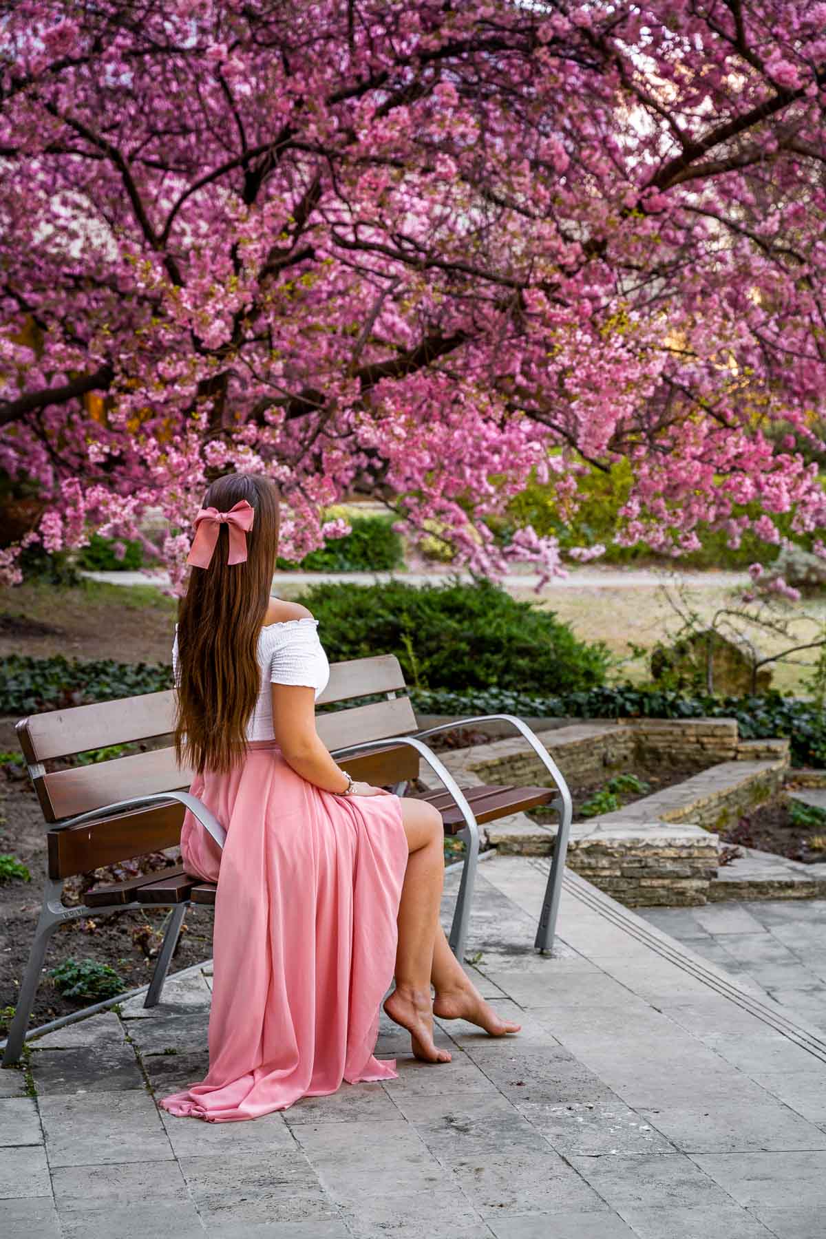 Girl sitting on a bench under a cherry blossom tree on Margaret Island in Budapest in spring