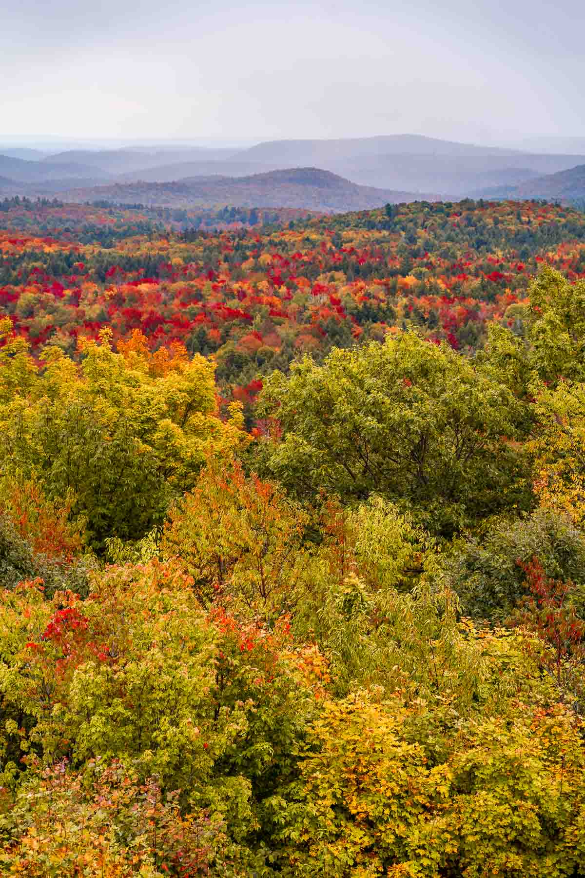 Foliage viewpoint in Vermont