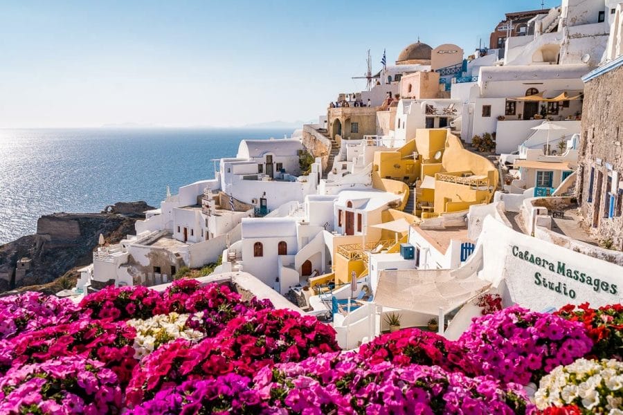 White-washed buildings in Oia, Santorini with pink flowers in the foreground