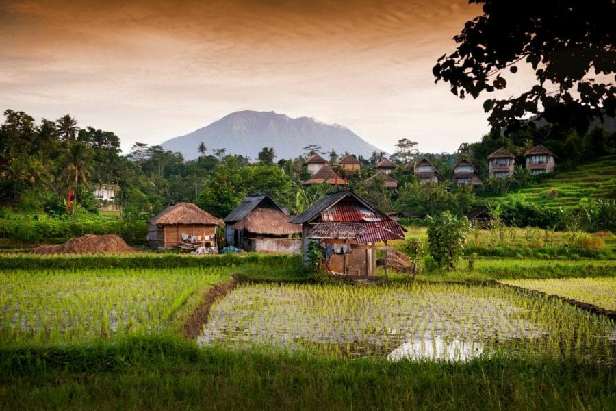 Rice fields in Sidemen, Bali