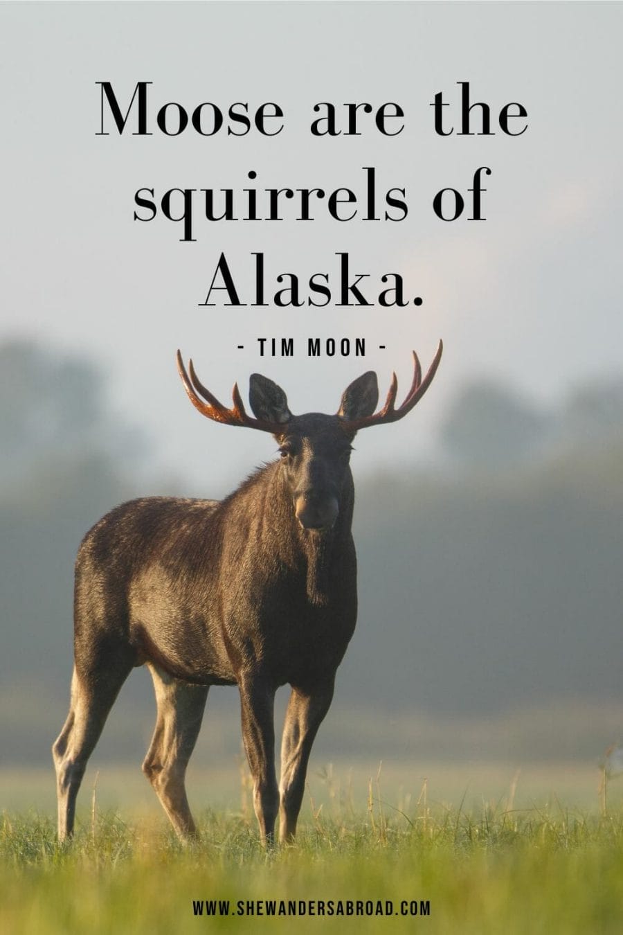 Short Alaska Quotes
