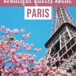155 Amazing Paris Quotes and Instagram Captions for Paris