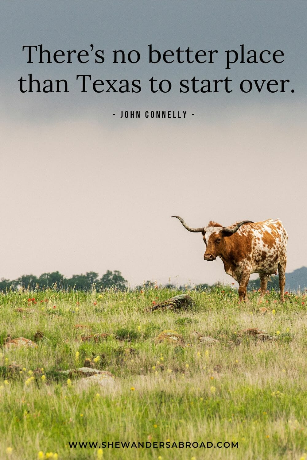 Best Texas Quotes