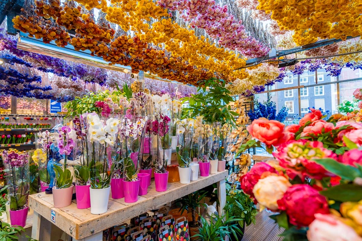 Beautifully arranged flowers at Bloemenmarkt Amsterdam