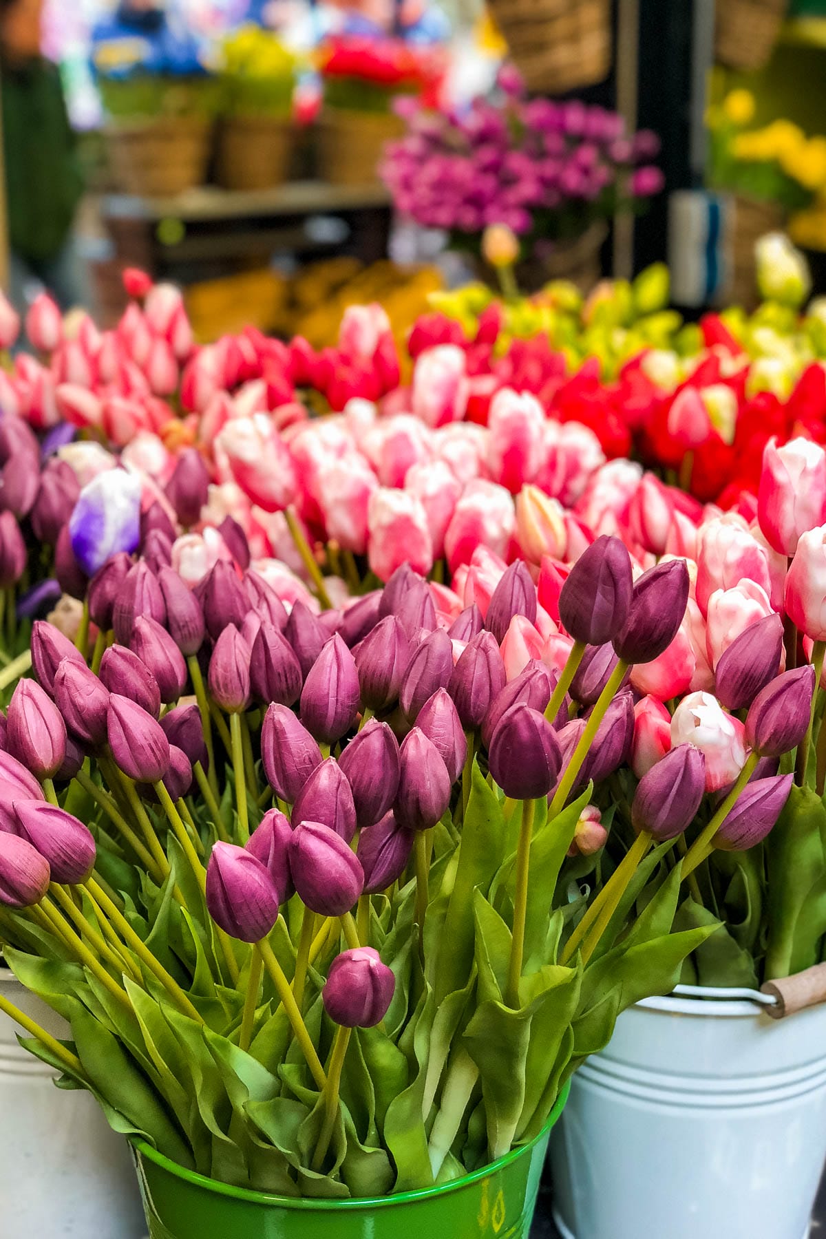 Tulips at Bloemenmarkt Amsterdam
