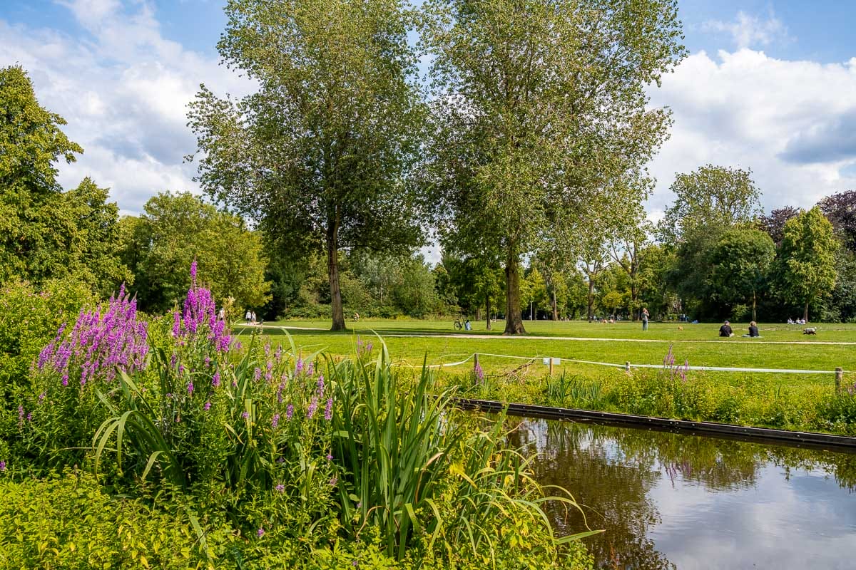 Beautiful green park, Vondelpark Amsterdam