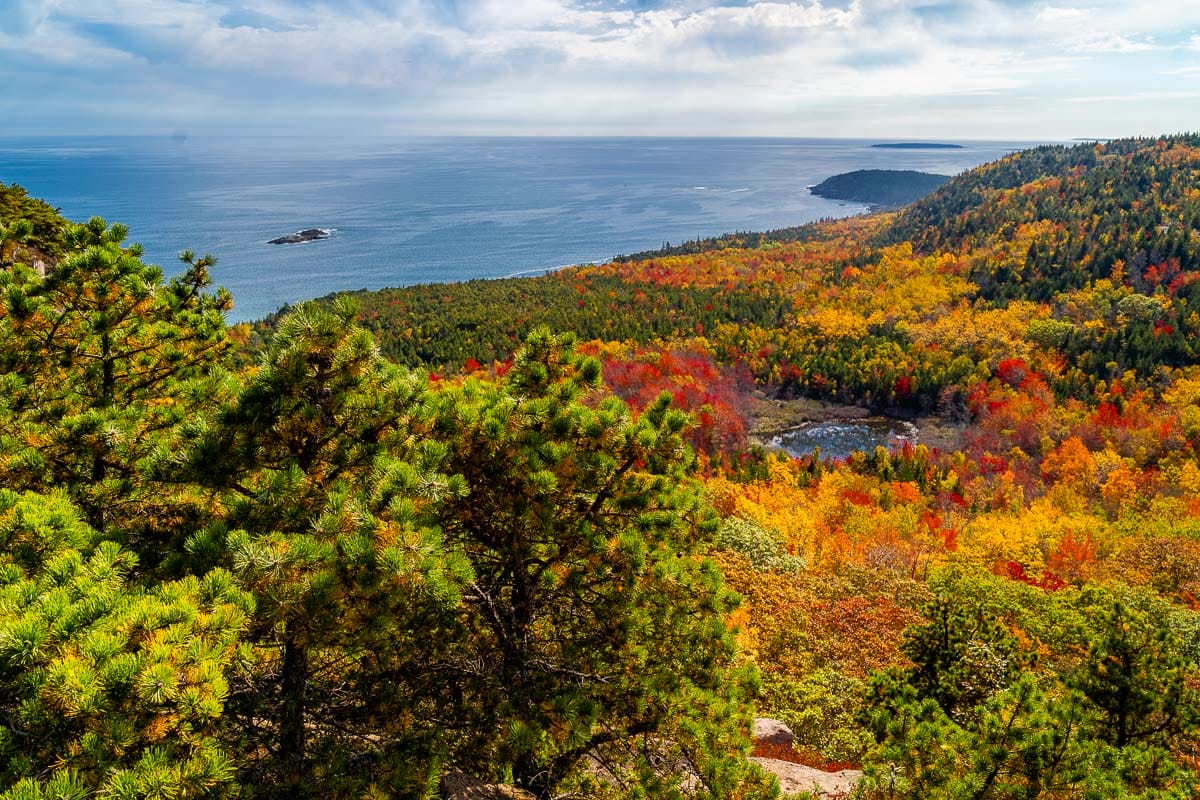 View from the Beehive Trail in Acadia National Park in the fall